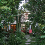 Jambo Guest House Garden
