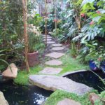 Jambo Guest House Garden